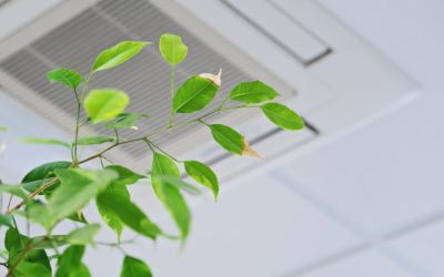 Improve Indoor Air Quality by Making Some Household Modifications